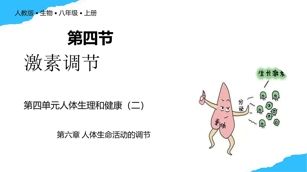 【核心素养】人教版初中生物八年级上册4.6.4《激素调节》课件第1页