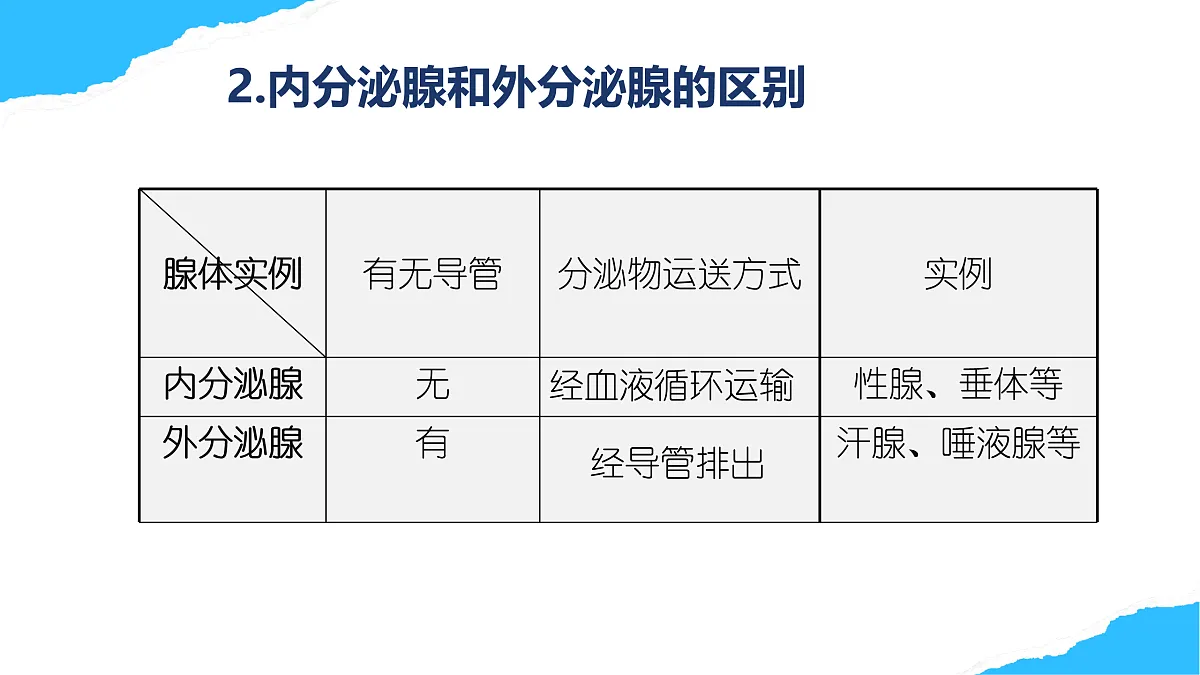 【核心素养】人教版初中生物八年级上册4.6.4《激素调节》课件第8页