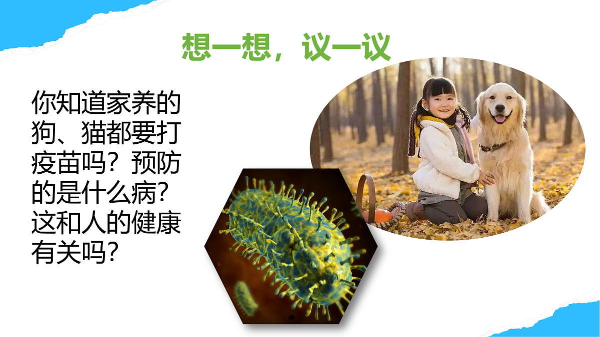 【核心素养】人教版初中生物八年级上册4.7.2《免疫与免疫规划》课件第4页