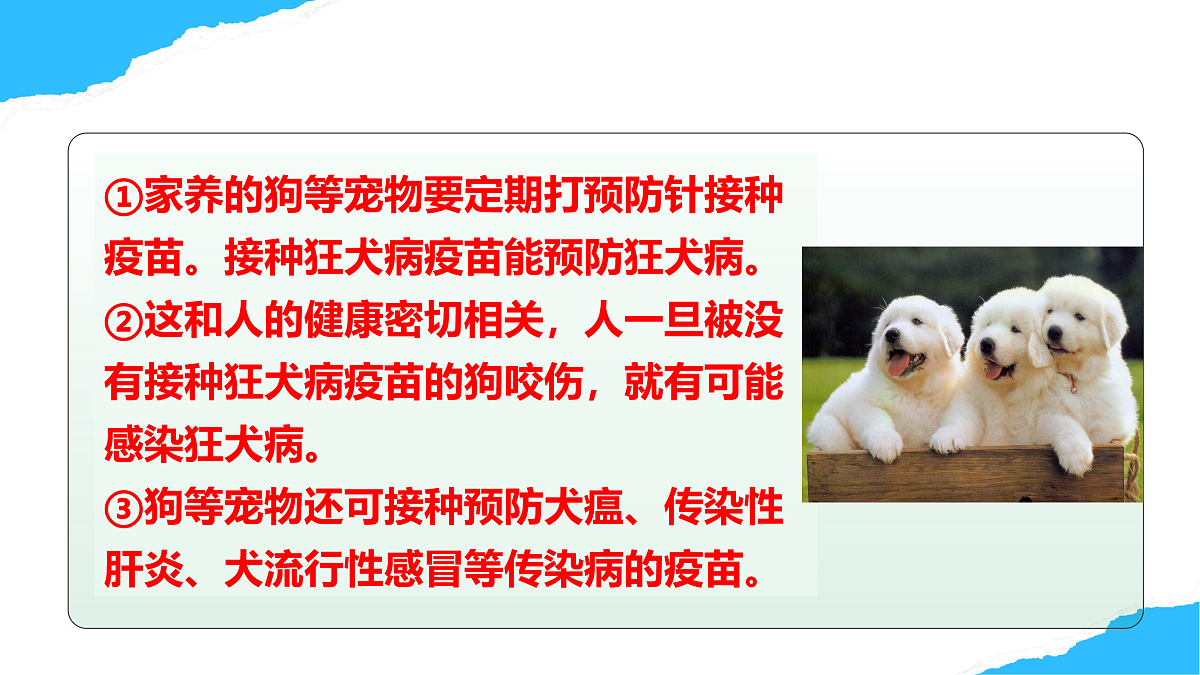 【核心素养】人教版初中生物八年级上册4.7.2《免疫与免疫规划》课件第5页
