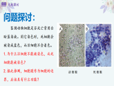 人教版 2019 高中生物必修1 第三章3.1 《細(xì)胞膜結(jié)構(gòu)和功能 》PPT+教案