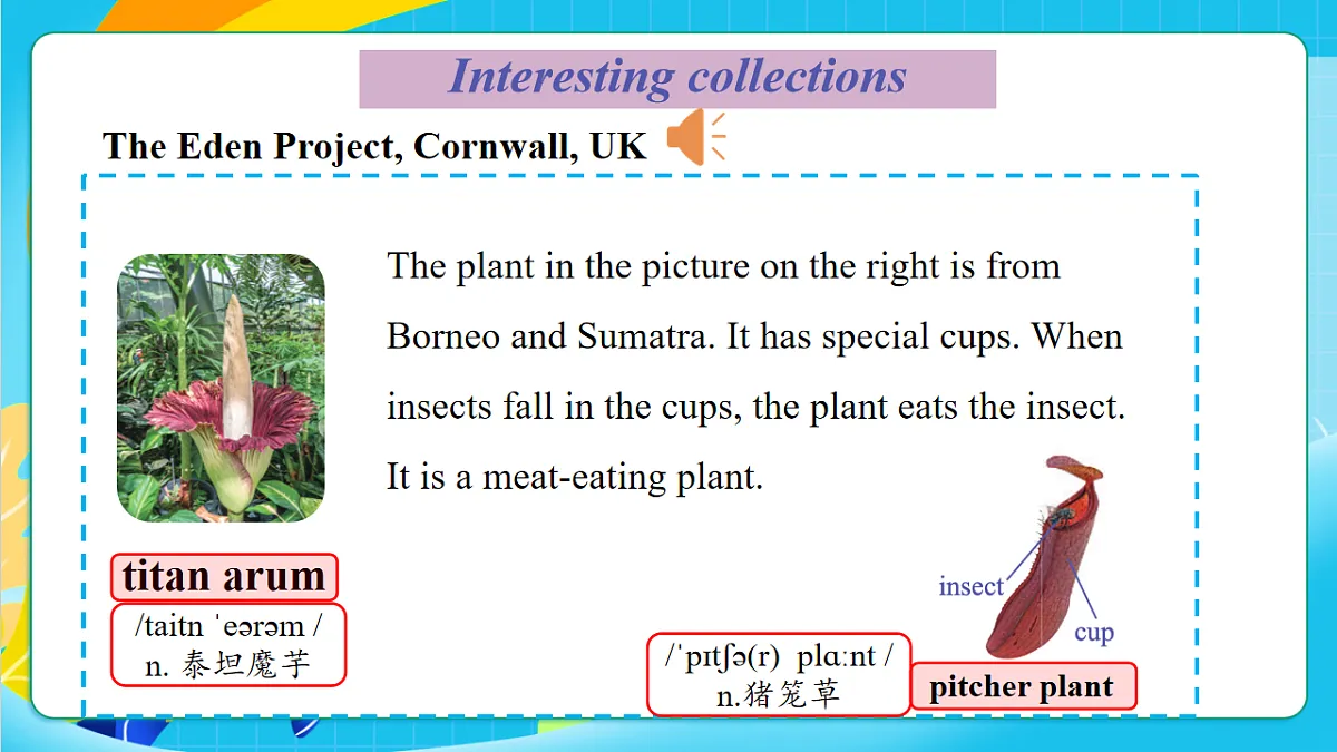 沪教牛津版（六三制三起）英语七上Unit 8《 Collecting as a hobby 》第5课时Focusing on culture（课件）第8页