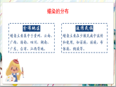 人教版美術(shù)九上2.4《蠟染與扎染》課件+教案