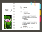 學(xué)前教育大班《美麗的荷花》課件
