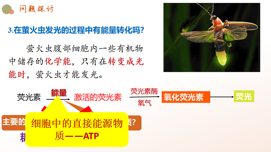 5.2《细胞的能量货币ATP》第6页