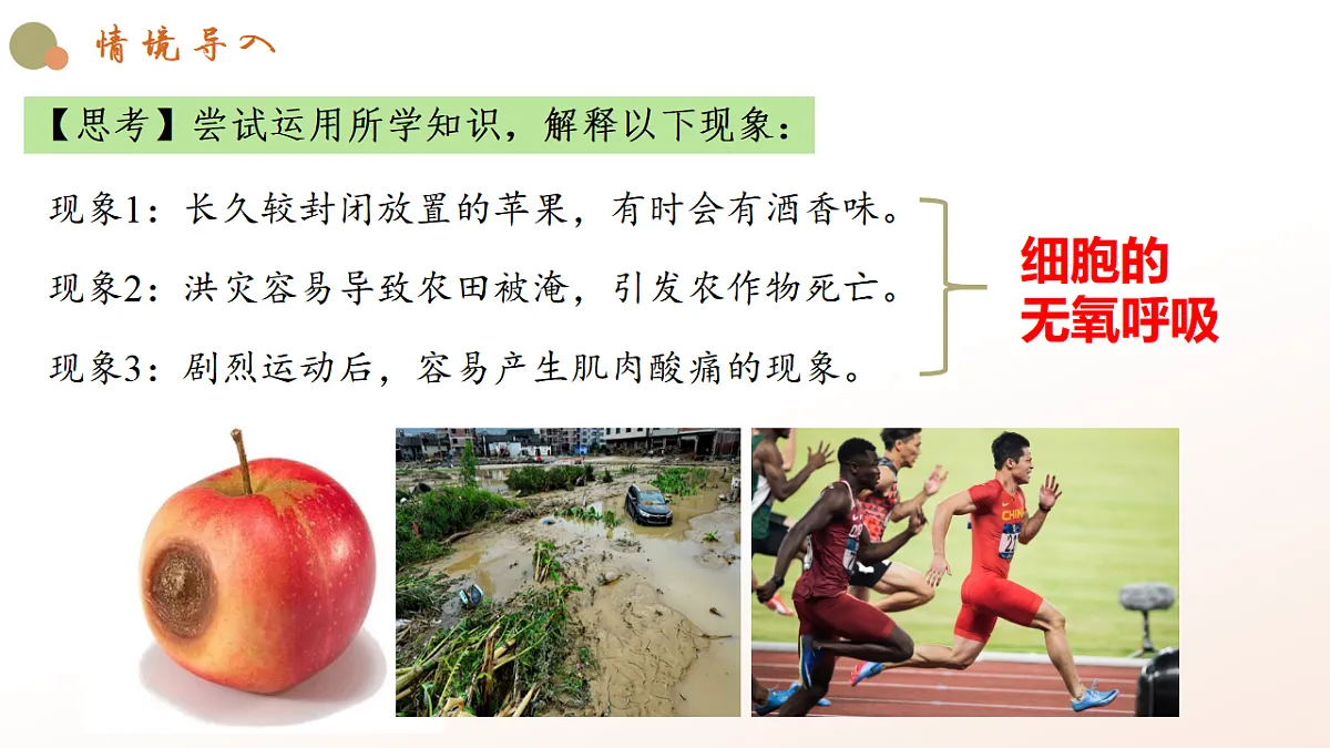 5.3《细胞呼吸的原理和应用》课时2第5页