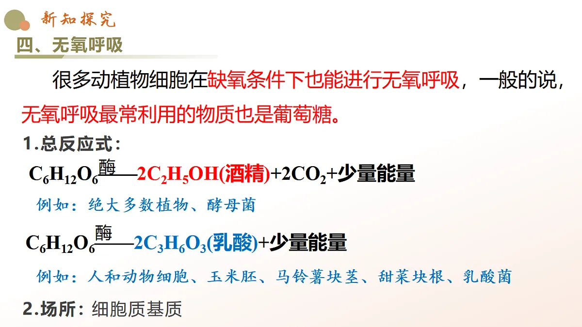5.3《细胞呼吸的原理和应用》课时2第6页