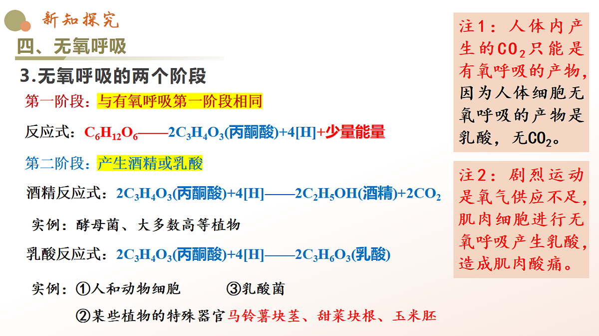 5.3《细胞呼吸的原理和应用》课时2第7页