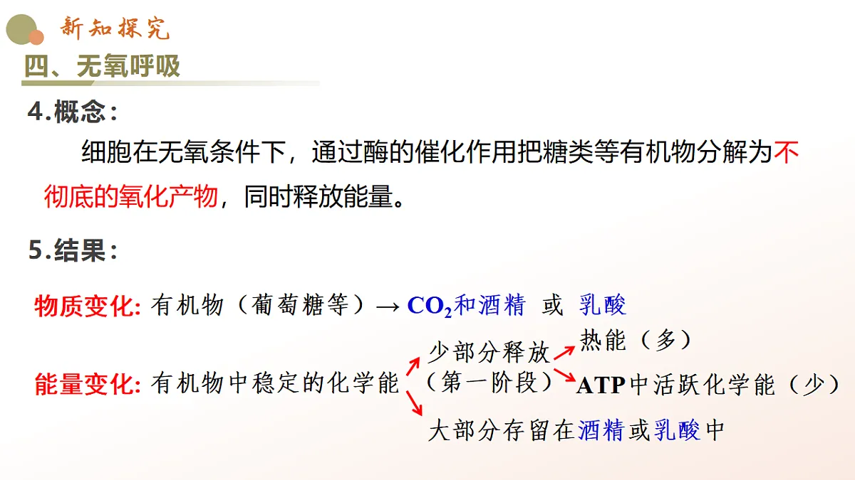 5.3《细胞呼吸的原理和应用》课时2第8页