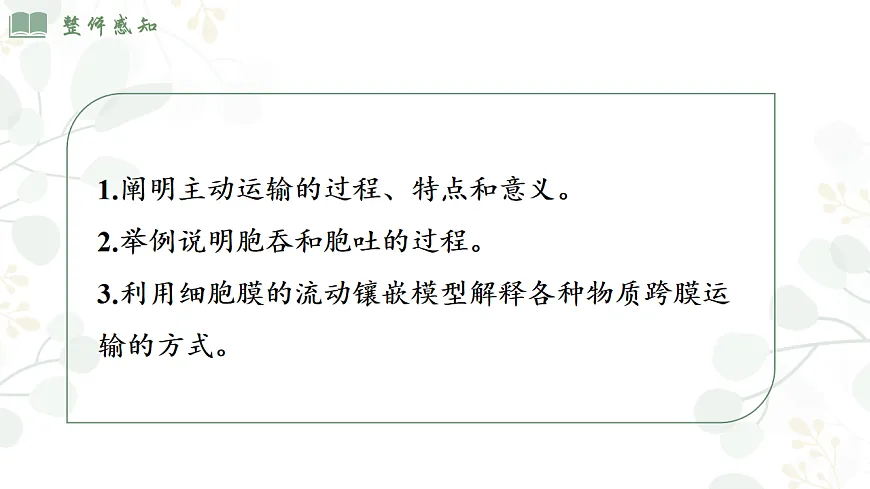 4.2《主动运输和胞吞胞吐 》第2页