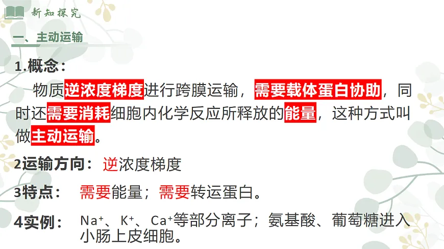 4.2《主动运输和胞吞胞吐 》第6页