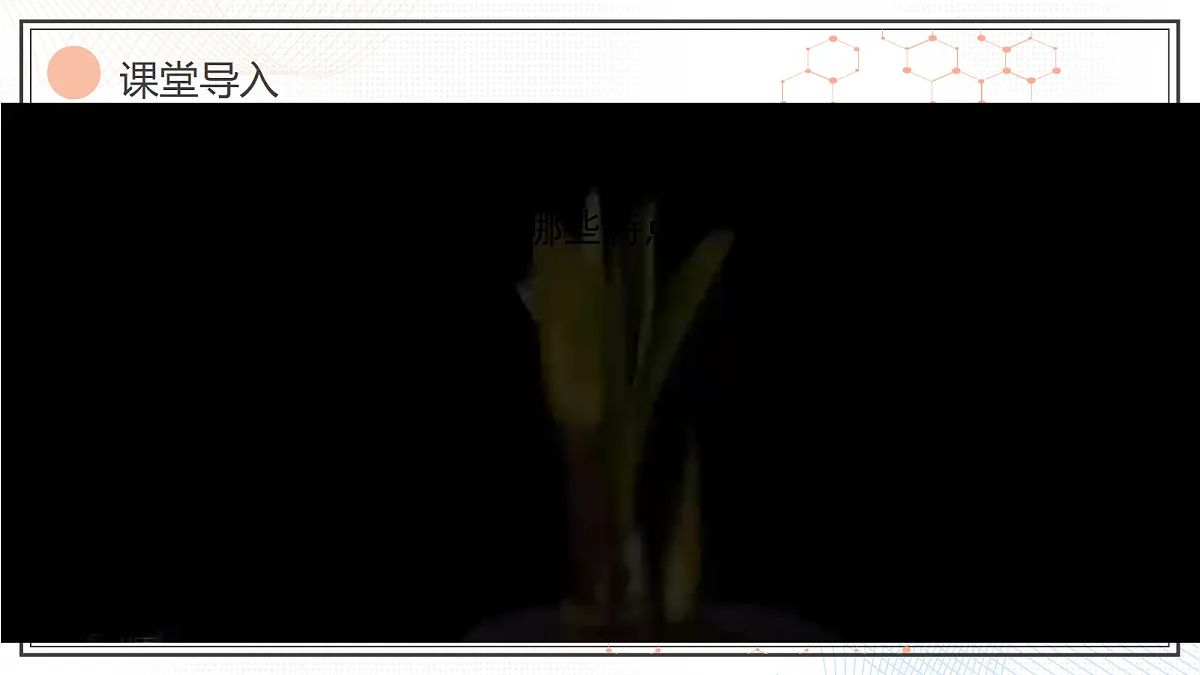 17221012第2页