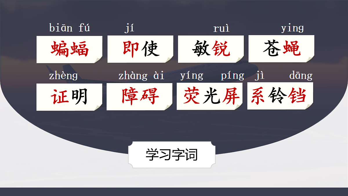 6.夜间飞行的秘密第6页