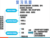 【新課標新教材】蘇教版生物七年級下冊4.11.4 植物在生物圈中的重要作用（教學課件+教學設計+分層練習含答案）