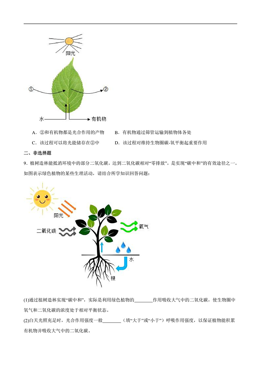 4.11.4  植物在生物圈中的重要作用(分层作业）（原卷版）第2页