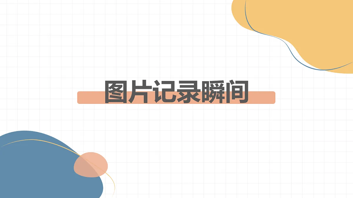 17223087第3页
