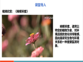 【新課標新教材】蘇教版生物七年級下冊3.7.1 生態(tài)系統(tǒng)的構成（第1課時）（教學課件+教學設計+分層練習含答案）
