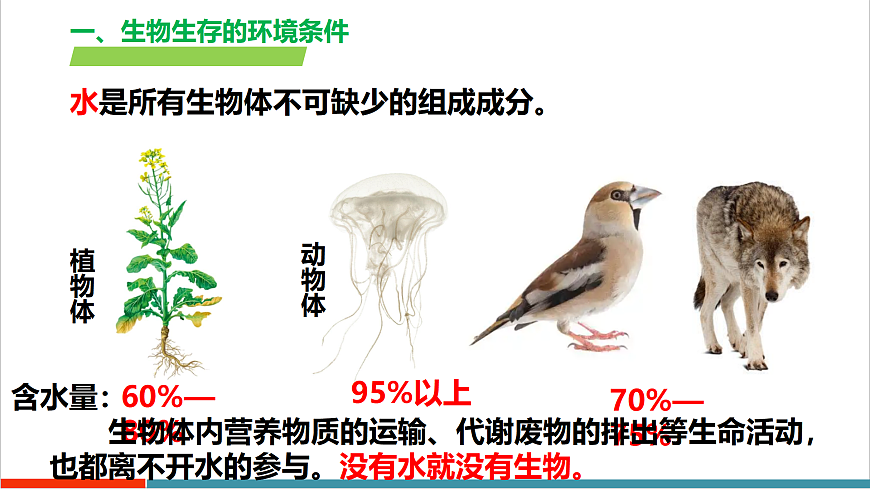 3.7.1 生态系统的构成（教学课件）（第1课时）第6页