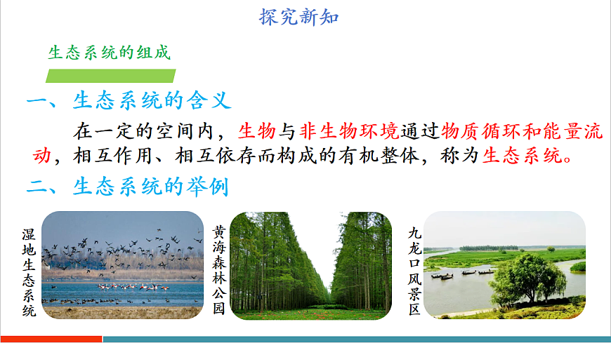 3.7.1 生态系统的构成（第2课时）（教学课件）第6页