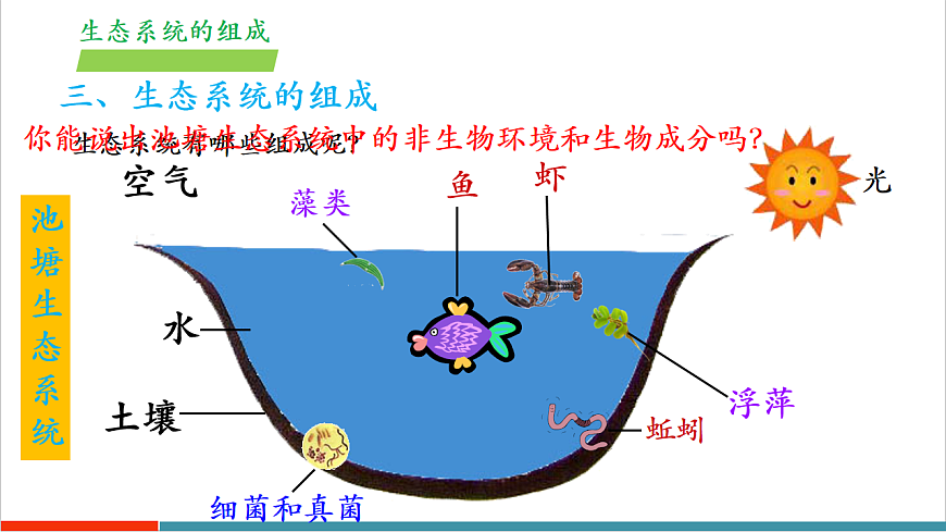 3.7.1 生态系统的构成（第2课时）（教学课件）第8页