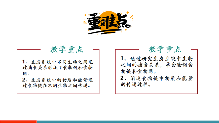 3.7.2 食物链和食物网（教学课件）第3页