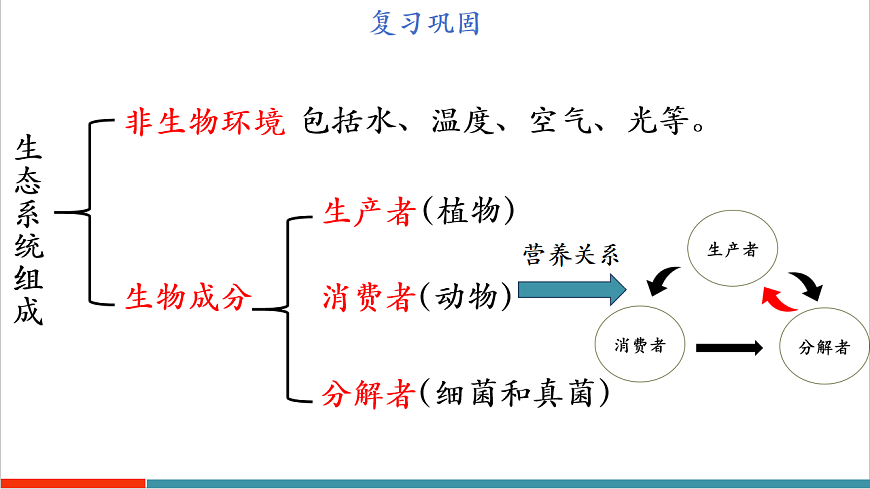 3.7.2 食物链和食物网（教学课件）第4页