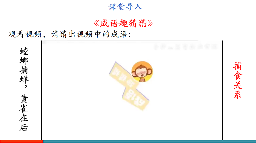 3.7.2 食物链和食物网（教学课件）第5页