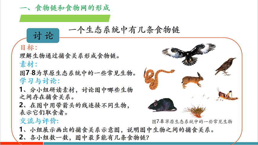 3.7.2 食物链和食物网（教学课件）第7页