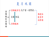 【新課標(biāo)新教材】蘇教版生物七年級(jí)下冊(cè)3.7.3 生物圈（教學(xué)課件+教學(xué)設(shè)計(jì)+分層練習(xí)含答案）