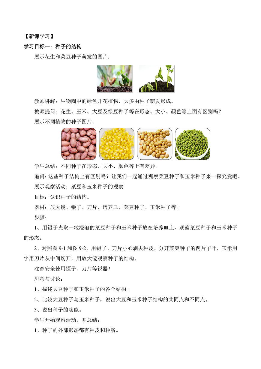 4.9.1 种子的萌发（教学设计）第2页