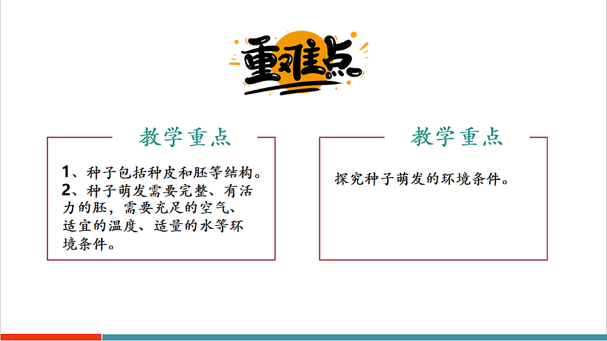 4.9.1 种子的萌发（教学课件）第3页