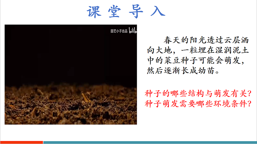 4.9.1 种子的萌发（教学课件）第5页