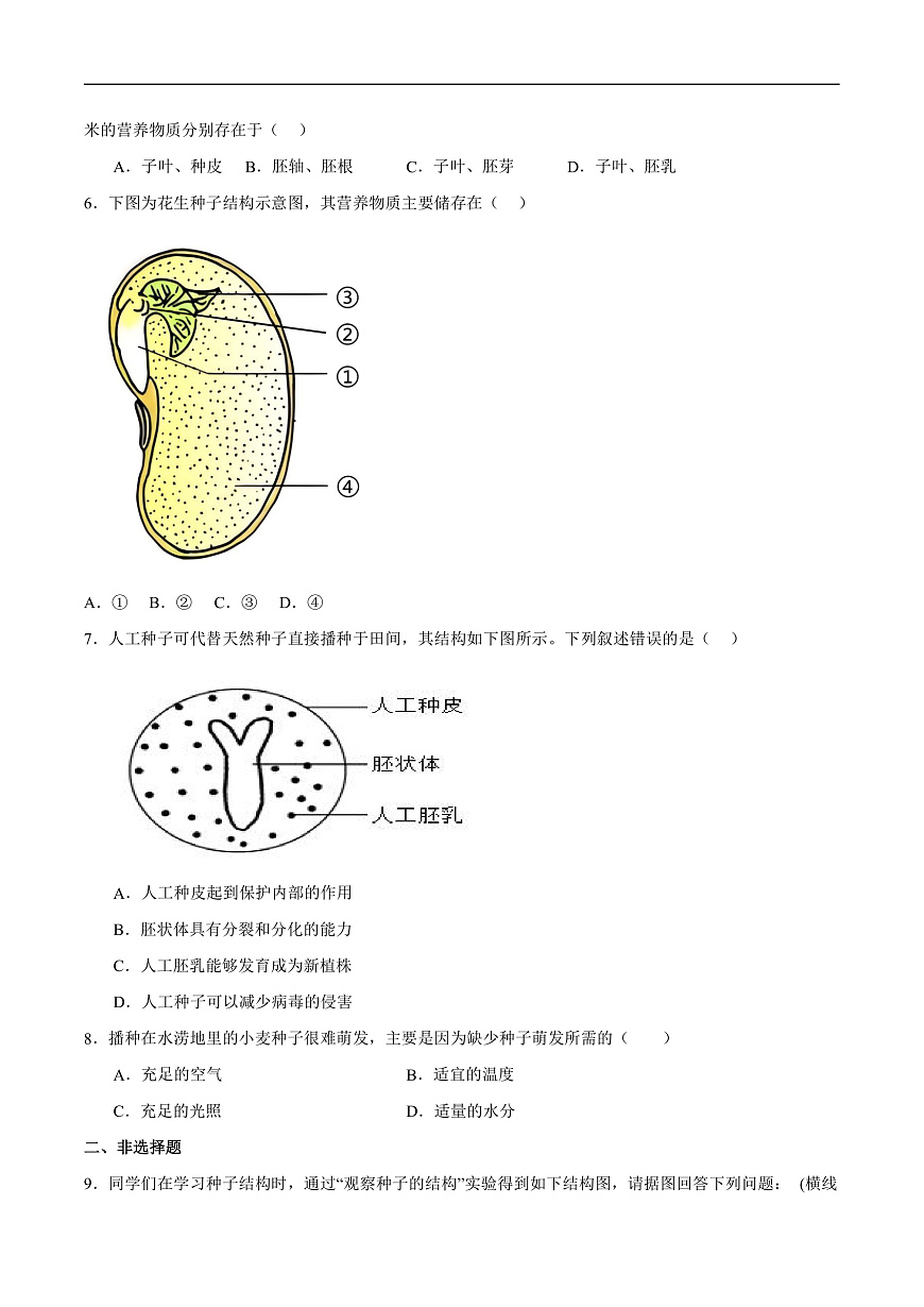 4.9.1 种子的萌发(分层作业）（原卷版）第2页