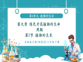 【新課標新教材】蘇教版生物七年級下冊4.9.2 植物的生長（教學課件+教學設計+分層練習含答案）