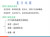 【新課標新教材】蘇教版生物七年級下冊4.9.2 植物的生長（教學課件+教學設計+分層練習含答案）