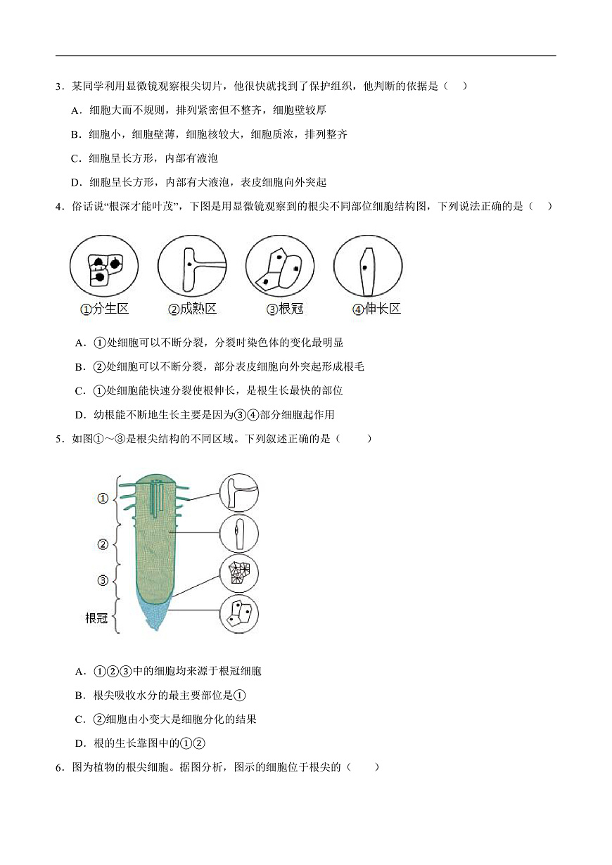 4.9.2 植物的生长 (分层作业）（原卷版）第2页