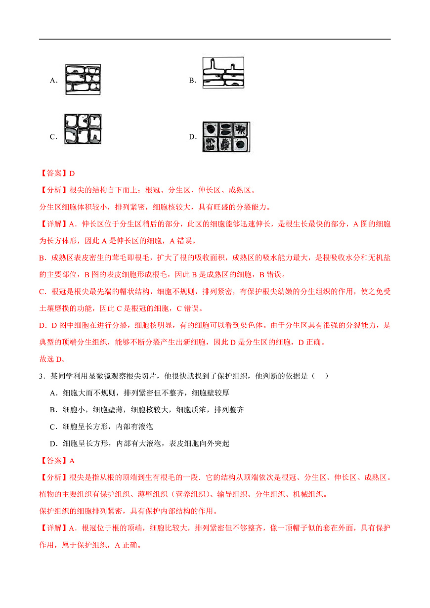 4.9.2 植物的生长 (分层作业）（解析版）第2页