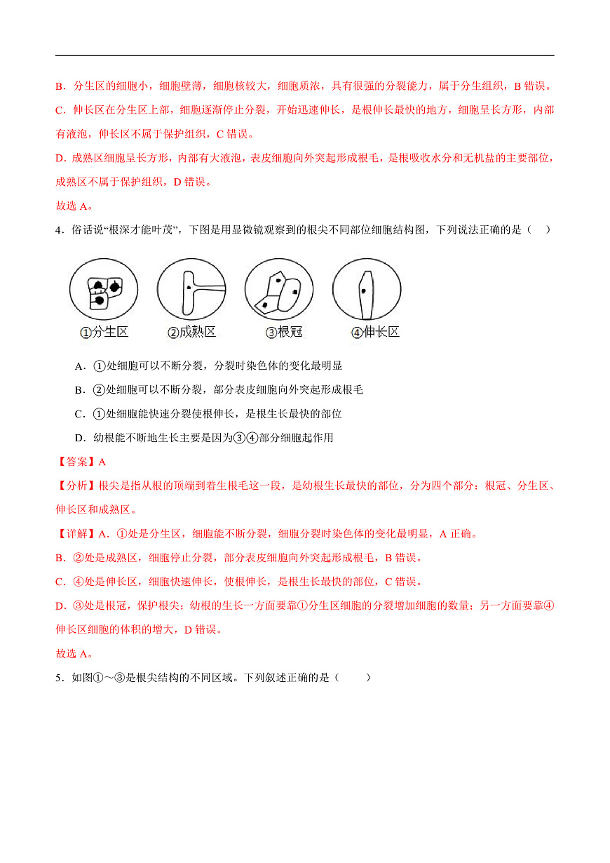 4.9.2 植物的生长 (分层作业）（解析版）第3页