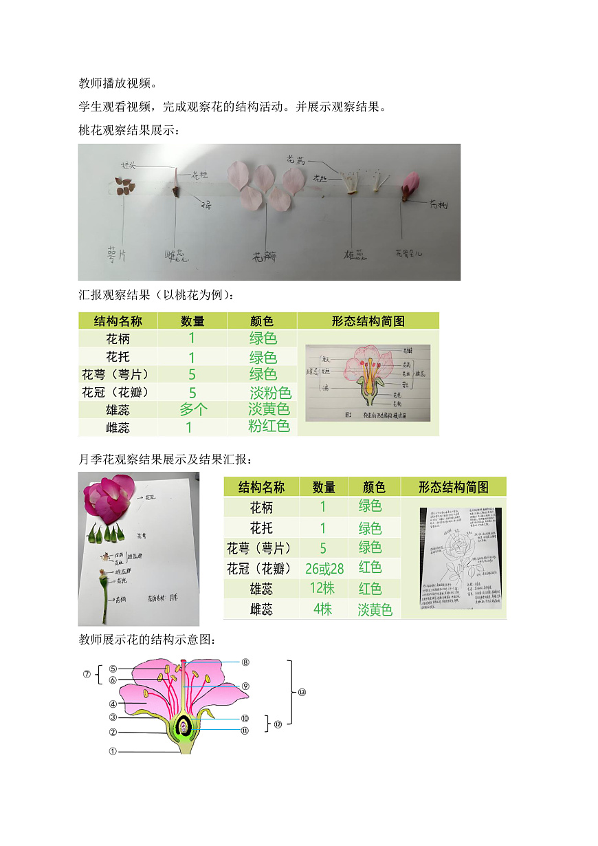 4.9.3 植物的繁殖（第1课时）（教学设计）第3页
