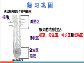 【新課標新教材】蘇教版生物七年級下冊4.9.3 植物的繁殖（第1課時）（教學課件+教學設計+分層練習含答案）
