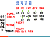 【新課標新教材】蘇教版生物七年級下冊4.9.3 植物的繁殖（第1課時）（教學課件+教學設計+分層練習含答案）