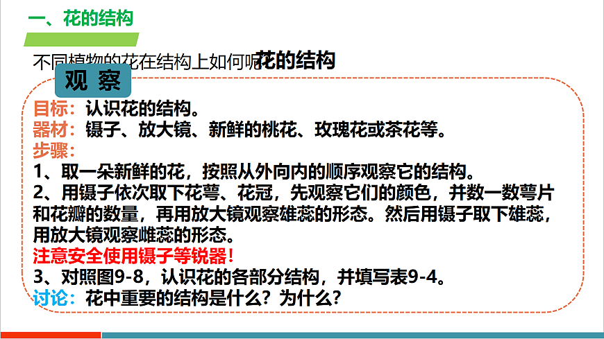 4.9.3 植物的繁殖（教学课件）（第一课时）第8页