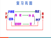 【新課標新教材】蘇教版生物七年級下冊4.9.3 植物的繁殖（第2課時）（教學課件+教學設計+分層練習含答案）