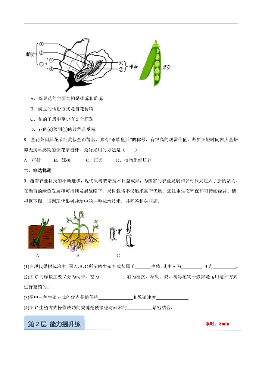 4.9.3 植物的繁殖 (分层作业）（原卷版）第3页