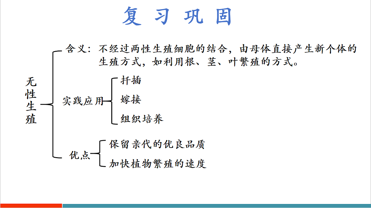 4.10.1 植物的营养器官（教学课件）（第1课时）第4页