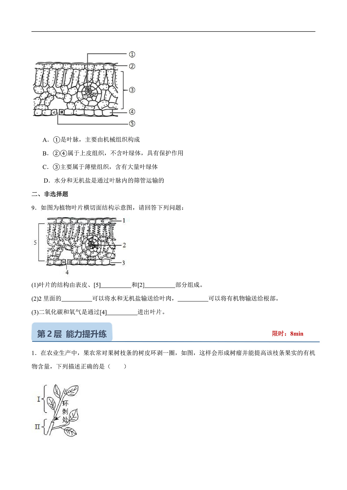 4.10.1 植物的营养器官 (分层作业）（原卷版）第3页
