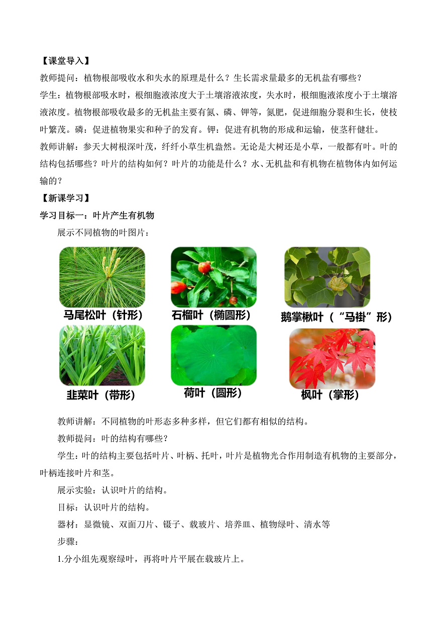 4.10.1 植物的营养器官（第2课时）（教学设计）第2页