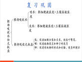 【新課標(biāo)新教材】蘇教版生物七年級下冊4.10.1 植物的營養(yǎng)器官（第2課時）（教學(xué)課件+教學(xué)設(shè)計+分層練習(xí)含答案）