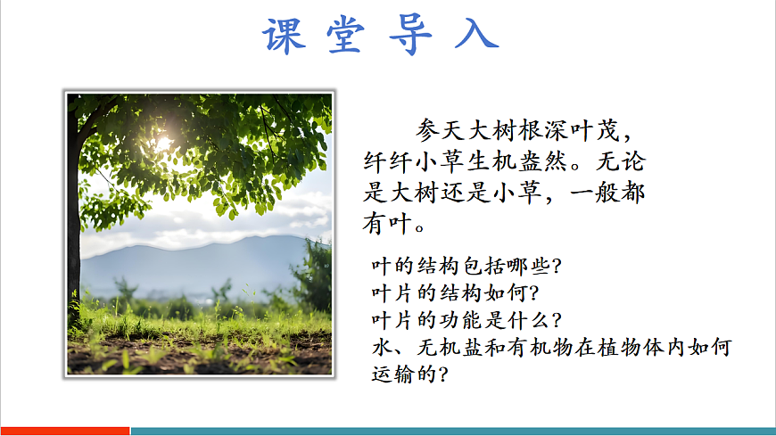 4.10.1 植物的营养器官（教学课件）（第二课时）第5页