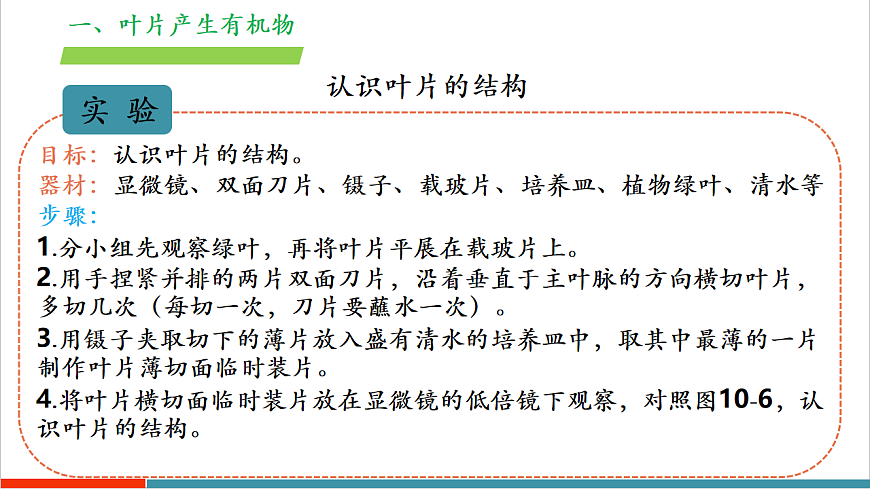 4.10.1 植物的营养器官（教学课件）（第二课时）第8页